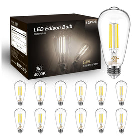 DAYBETTER 12-pack vintage LED Edison bulbs for stylish, energy-saving lighting in homes