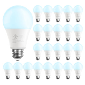 DAYBETTER A19 LED bulb delivers 800lm brightness for vibrant home lighting.