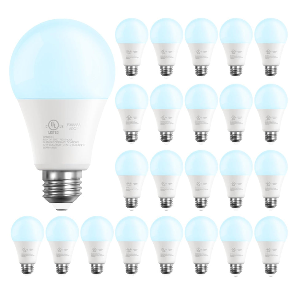 DAYBETTER A19 LED bulb delivers 800lm brightness for vibrant home lighting.