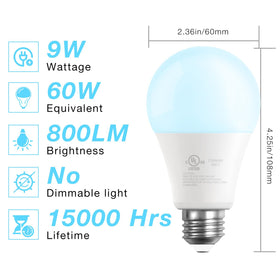 DAYBETTER A19 LED bulbs provide 5000K daylight for focused work areas.