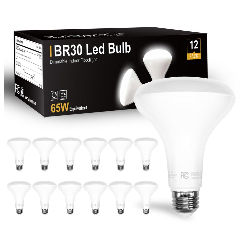 DAYBETTER BR30 bulb package front view showing energy-efficient 800 lumens output