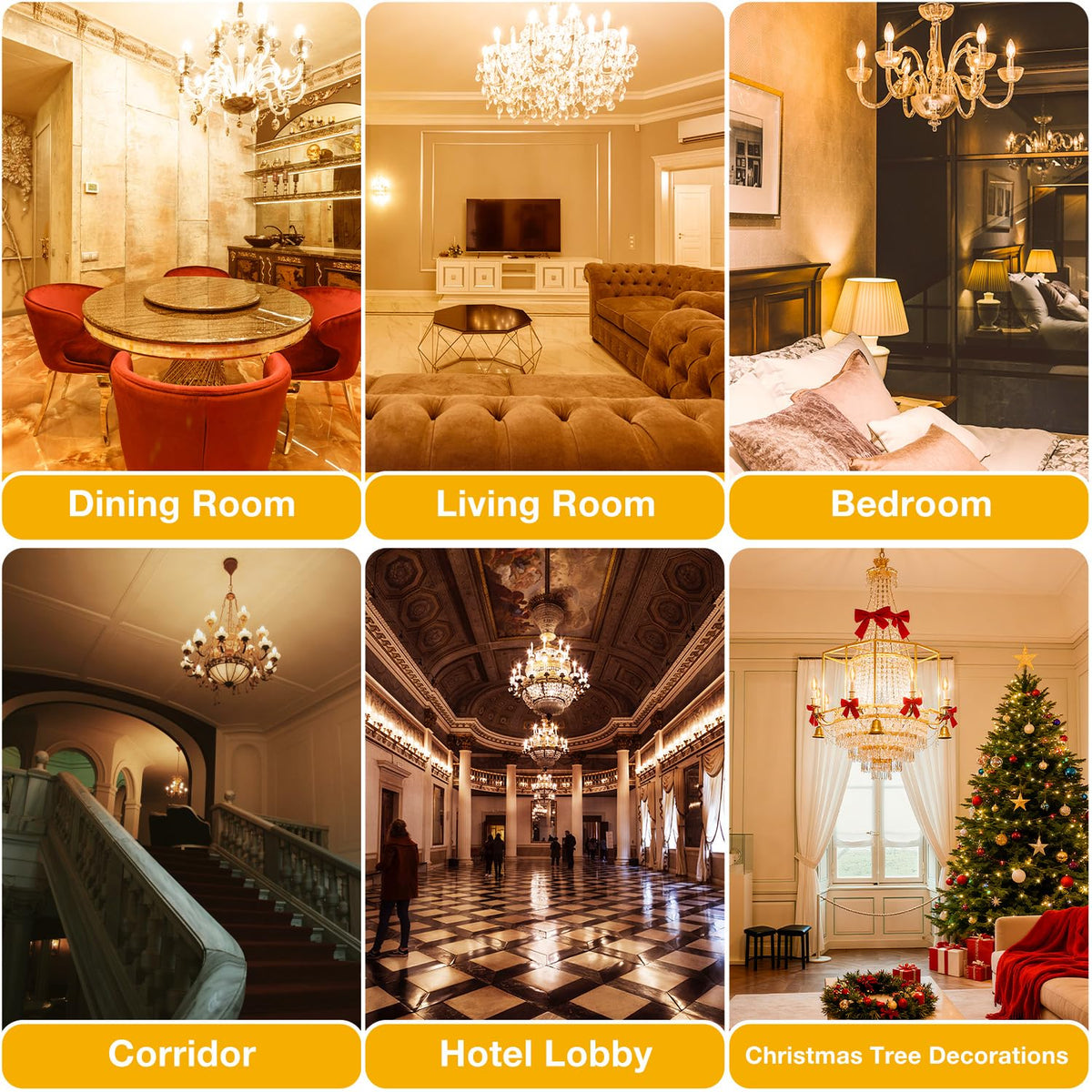 DAYBETTER long-life LED bulbs reduce replacements and maintenance.