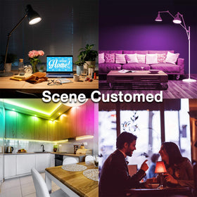 DAYBETTER 6-pack packaging for multi-room lighting.