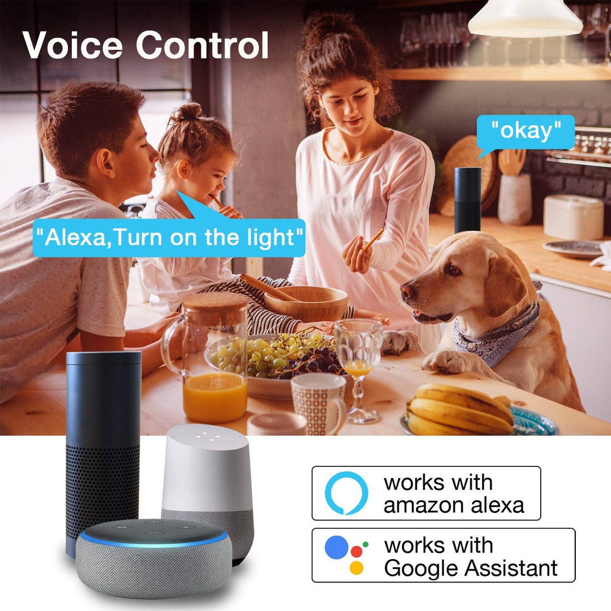 DAYBETTER smart light bulb group control for synchronized lighting.