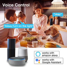 DAYBETTER smart light bulb group control for synchronized lighting.