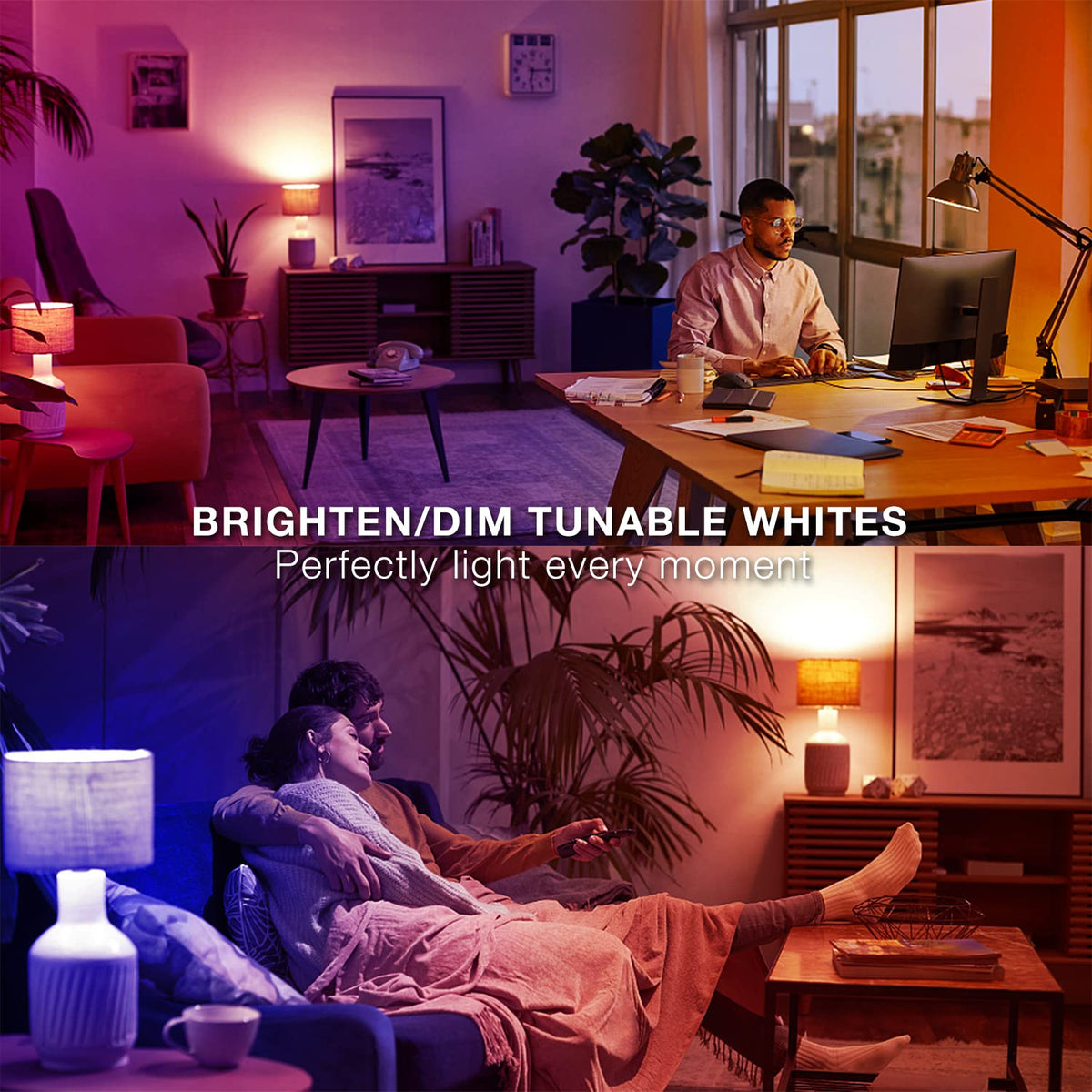 DAYBETTER Smart Light Bulbs group control for synchronized scenes
