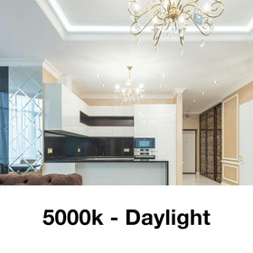 DAYBETTER vintage LED filament B11 bulb showing exposed filaments in 5000K daylight.