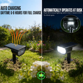 Dazzle Bright solar spot light wall-mount enables versatile outdoor placement.