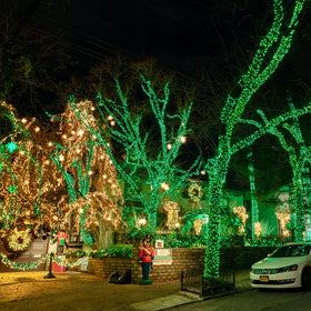 Dazzle Bright decor lights ideal for St. Patrick's Day and Christmas