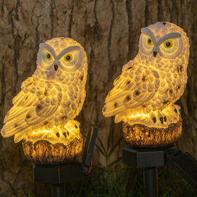 Dazzle Bright yard path owl light enhances borders with a soft glow.