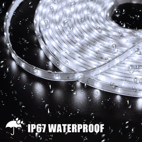 DBFAIRY IP67 waterproof strip lights withstand rain for poolside use