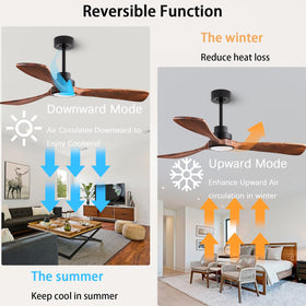 dearnow led light with three color temperatures for adaptable lighting