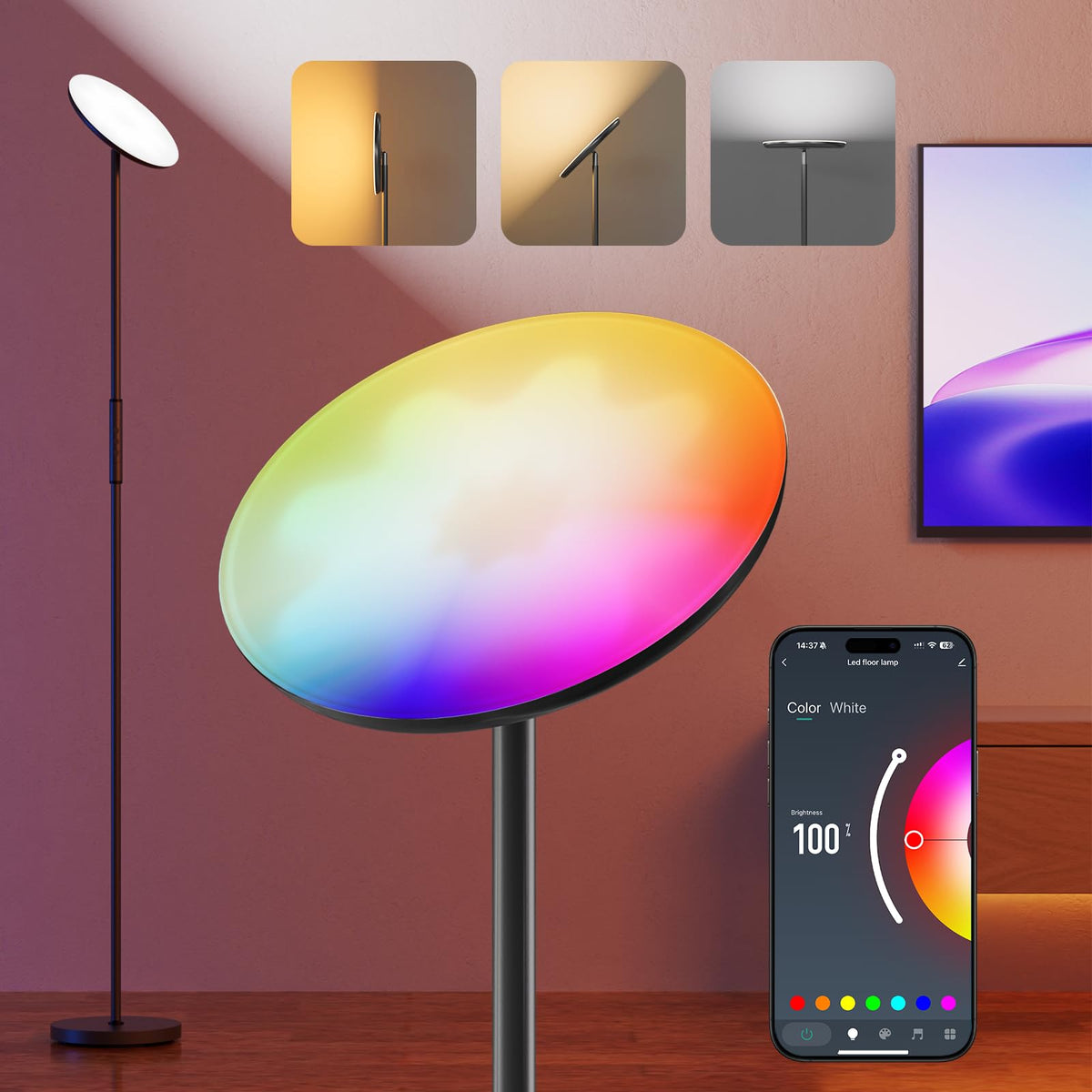 DeckTok floor lamp tilting head for precise light direction and adaptability.