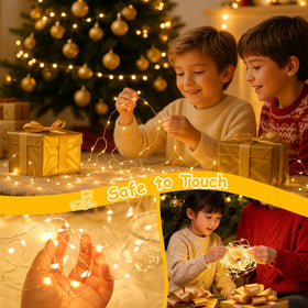 Decute waterproof silver wire LEDs for durable outdoor decor.