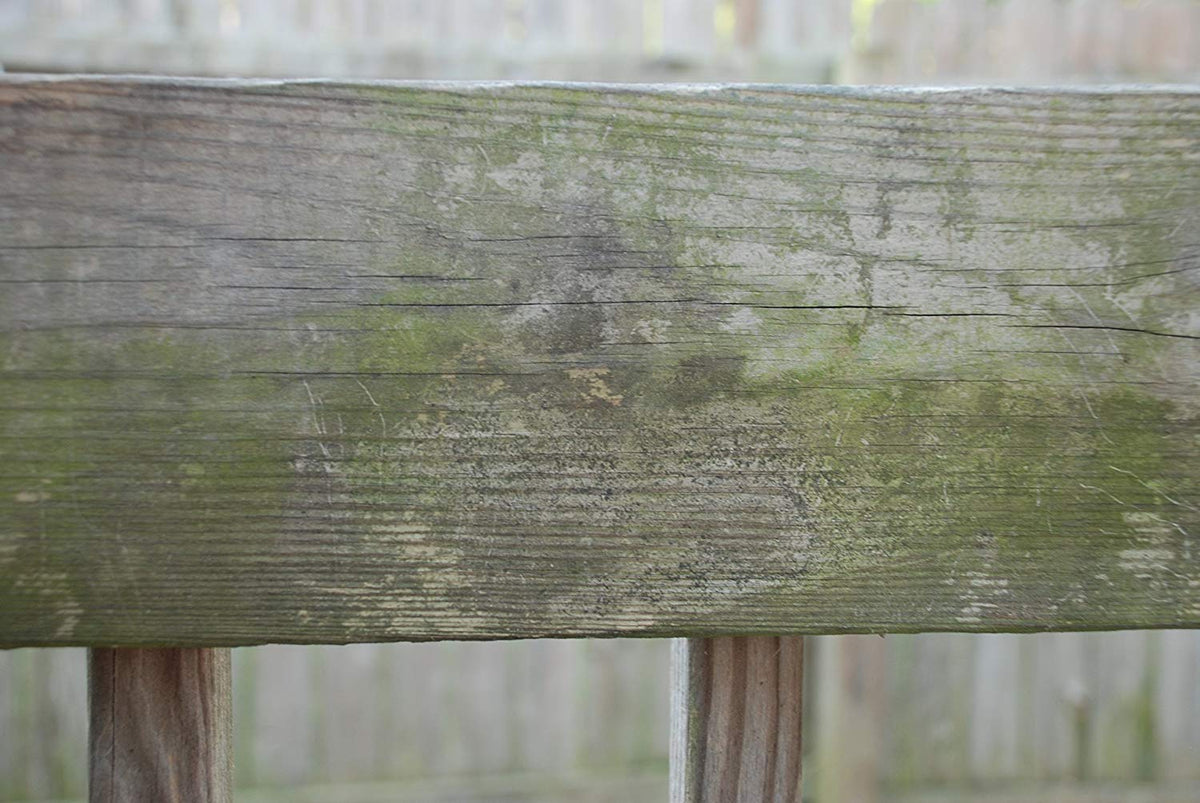 DEFY Wood Cleaner is safe for grass and most plants during use