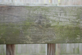 DEFY Wood Cleaner is safe for grass and most plants during use