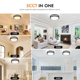 Delightown 2-pack dimmable ceiling light for customizable ambiance.