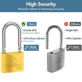 DELSWIN 2-pack includes four keys for easy access.