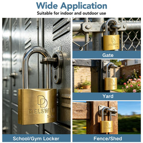 DELSWIN padlock ideal for gates, fences, sheds, and lockers.