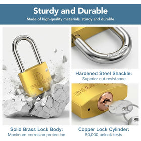 DELSWIN keyed-alike 2-pack lets you use one key for all locks.