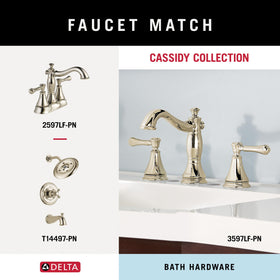 Delta Cassidy double towel hook polished nickel mounted on wall for towels
