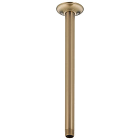 Delta ceiling arm 14-inch extension for a spa-like shower and adjustable height.