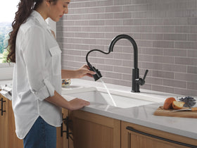 Delta Finnridge wide-fan ProClean spray covers more surface area for quick cleanup