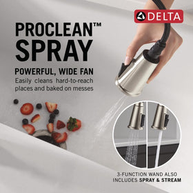 Delta Finnridge ProClean spray delivers wide, thorough rinsing