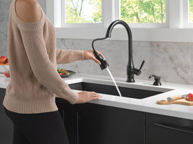 Delta Hazelwood pull-down sprayer docked neatly demonstrates convenient spray access.