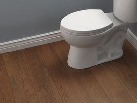 Delta Morgan slow-close mechanism demo showing gentle lowering.