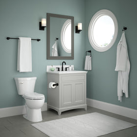 Delta Nicoli dimensions showing height and length for bathroom fit.