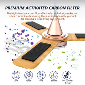 Demiwise activated-carbon close-up highlighting porous coconut shell carbon for cleaner air