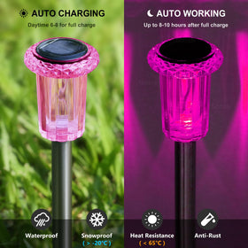 DenicMic outdoor solar light along walkway providing subtle pink illumination