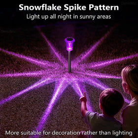 DenicMic yard and driveway illumination with purple LED accents