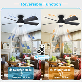 Depuley 42-inch ceiling fan with 5 blades delivers balanced airflow.
