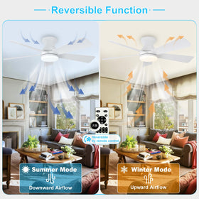 Depuley dimmable LED light controlled by remote for easy ambiance