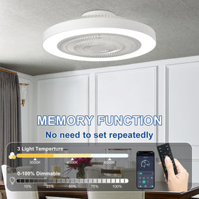 Depuley 6-speed fan with reversible mode for year-round comfort.