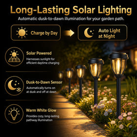 DERAYSION garden-border light highlights edges with gentle illumination for borders.