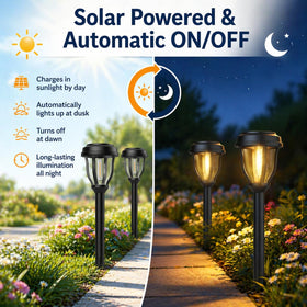 DERAYSION walkway light creates inviting path lighting for night strolls.