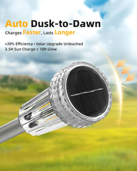 DERAYSION lights feature stainless-steel poles and waterproof build for outdoor durability.