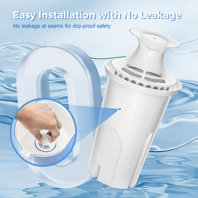 Easy installation of DESENRUIS filter into compatible devices