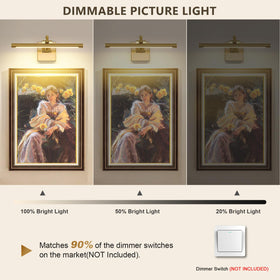 DESOOP brass picture light with 180-degree swing arm highlights canvases from multiple angles.