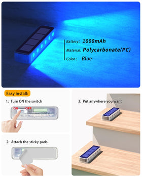 DetarZinLED blue pathway lights create safe, inviting entrances after sunset.