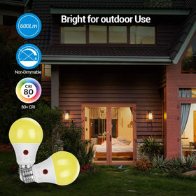 DEWENWILS A19 bulb at garage entrance provides hands-free lighting as needed.