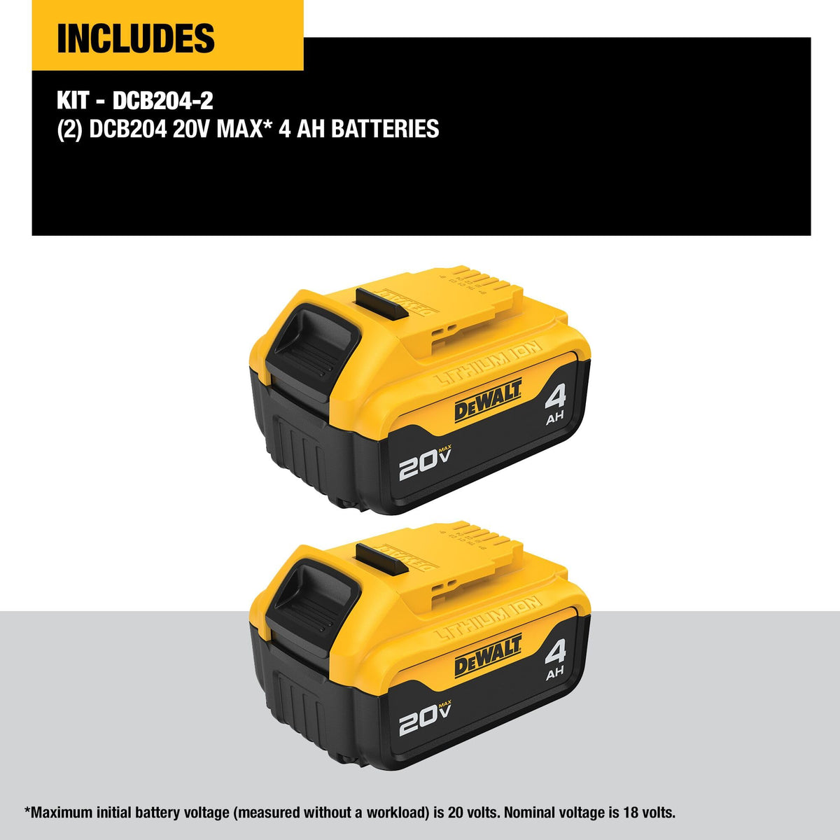 DEWALT 20V MAX XR battery 2-pack back view reveals label detail.