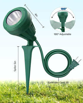 DEWENWILS outdoor lighting for walls, trees, and flags at night.