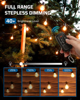 DEWENWILS dimmer with two grounded outlets for two lights simultaneously