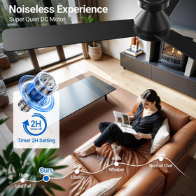 Dgguo 2‑hour timer feature on ceiling fan with light