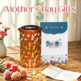 DIBIEECN solar panel lantern powers overnight garden lighting