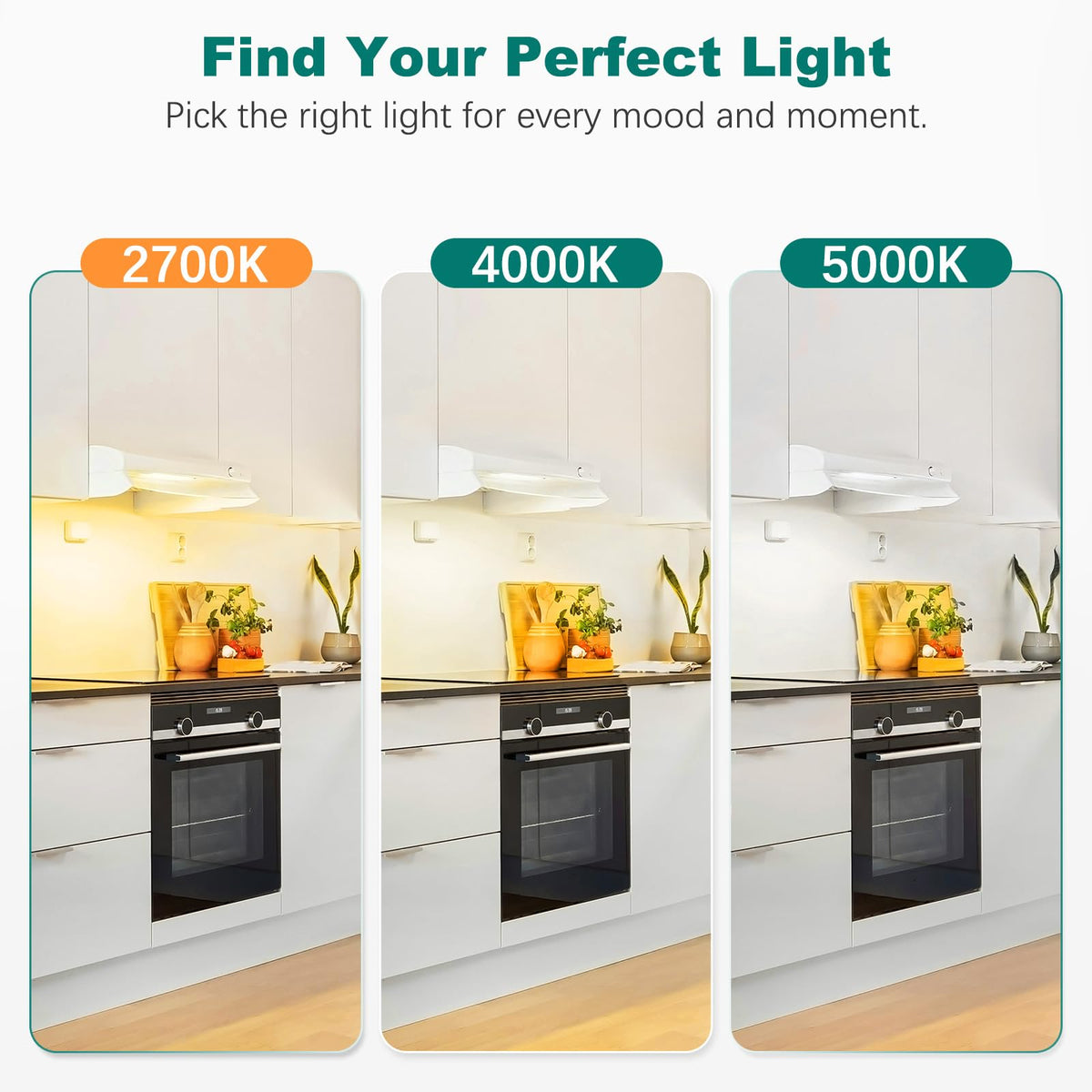 DiCUNO G8 LED bulb works well in puck light configurations.